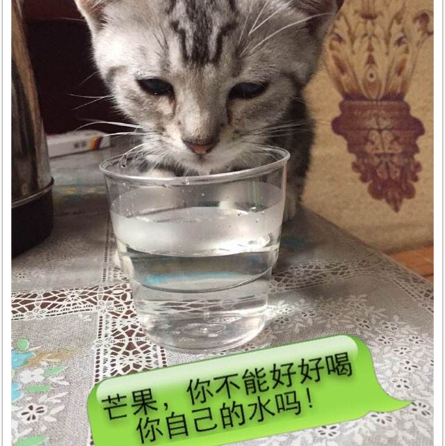 高仿加州出生证明